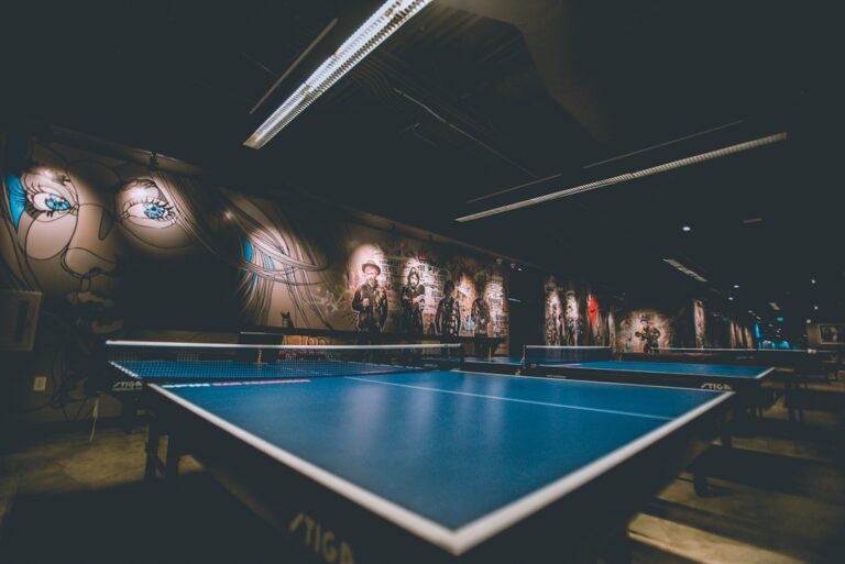 Tenis stołowy - zasady gry i jak zacząć grać w ping-ponga?